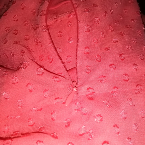 Isaac Mizrahi Short Sleeve Swiss Dot Lined Dress - Picture 5 of 8